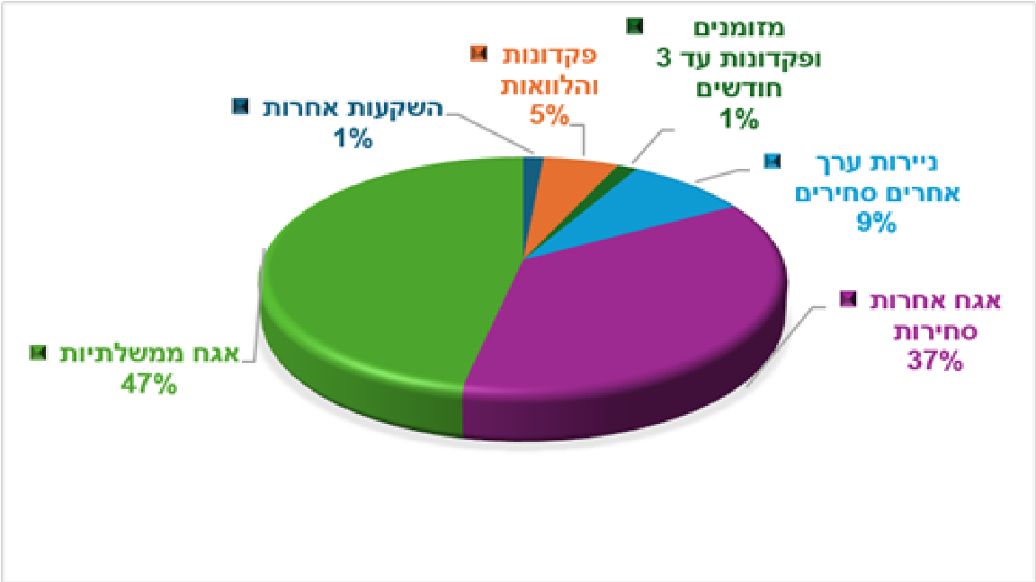 מזומן 0.78%, אג"ח ממשלתי 57.47%, אג"ח קונצרני 32.98%,ני"ע 0.33%, פקדונות 6.26%, השקעות אחרות 2.19% (הגדל)